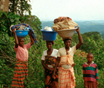 Farmers in Angola