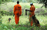 Dog detection unit