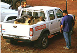 Dog Detection Transport