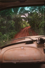 Jungle Road