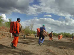 Für heute ist die Arbeit getan, die MgM-Crew verlässt die Minenfelder entlang des Bahndamms.